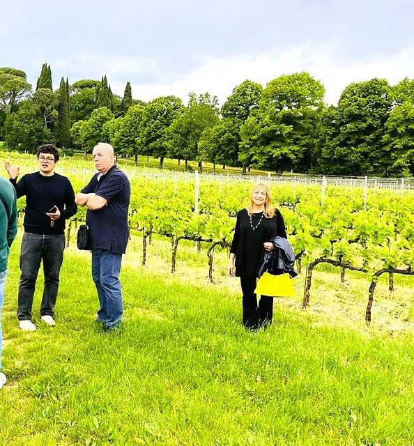 Daren among the vines